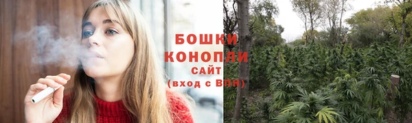 мяу мяу мука Волоколамск