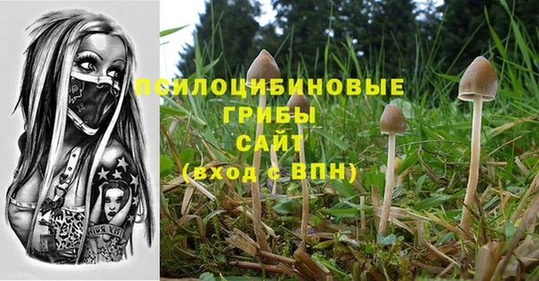 спиды Волосово