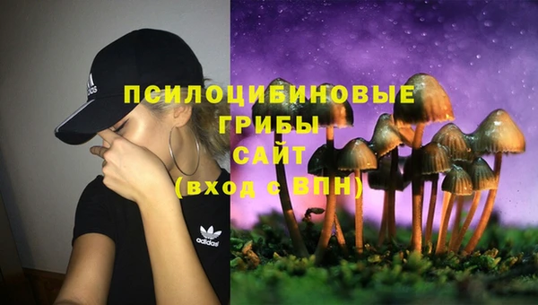 спиды Волосово