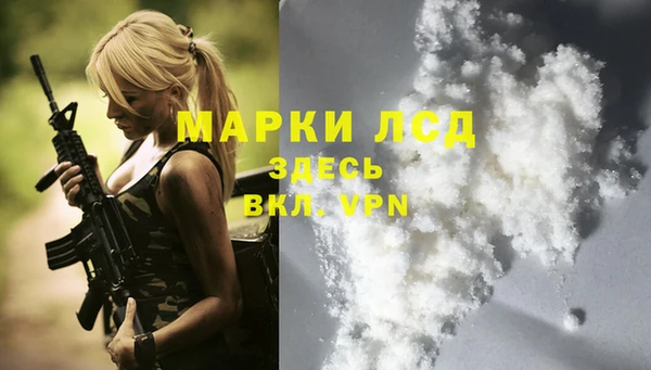 спиды Волосово