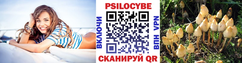 Псилоцибиновые грибы Magic Shrooms  кракен как войти  Городец  что такое  