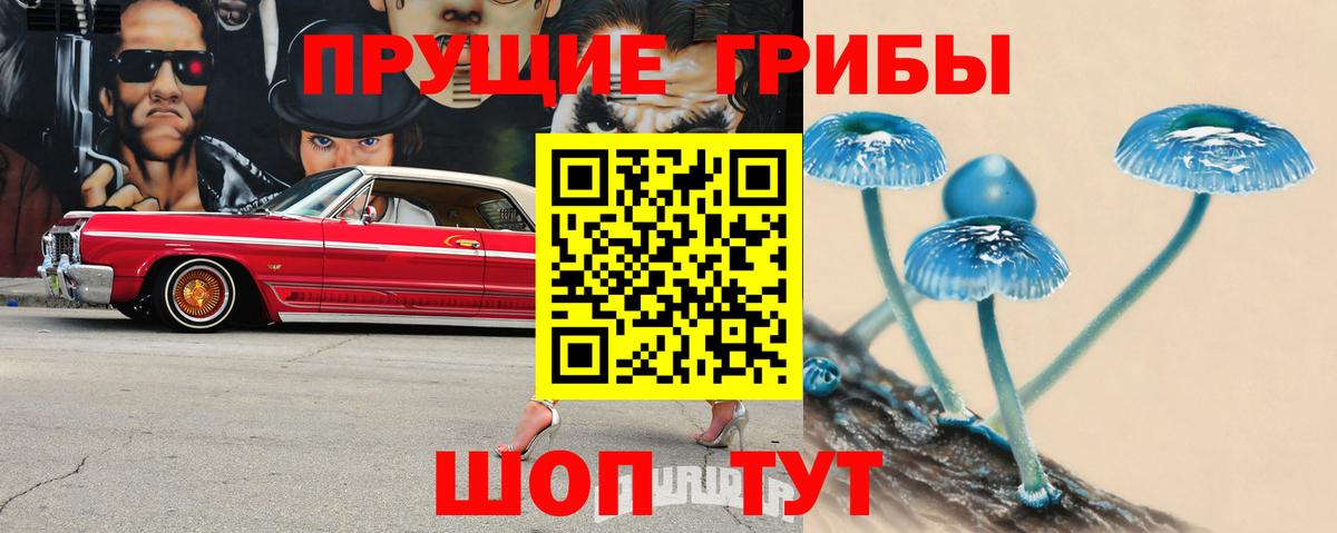 закладки  Галлюциногенные грибы Psilocybine cubensis  Галлюциногенные грибы Cubensis  Вход с VPN  Городец 