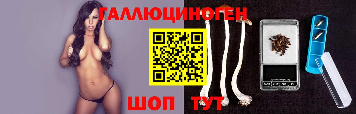 Галлюциногенные грибы мицелий  Галлюциногенные грибы прущие грибы  Городец 